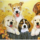 Pictură cu diamante Prieteni cățeluși 30x40 cm