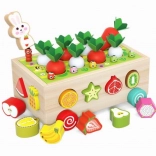 Sorter din lemn cu morcovi și cărucior
