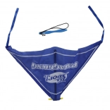 Planor de jucărie cu lansare